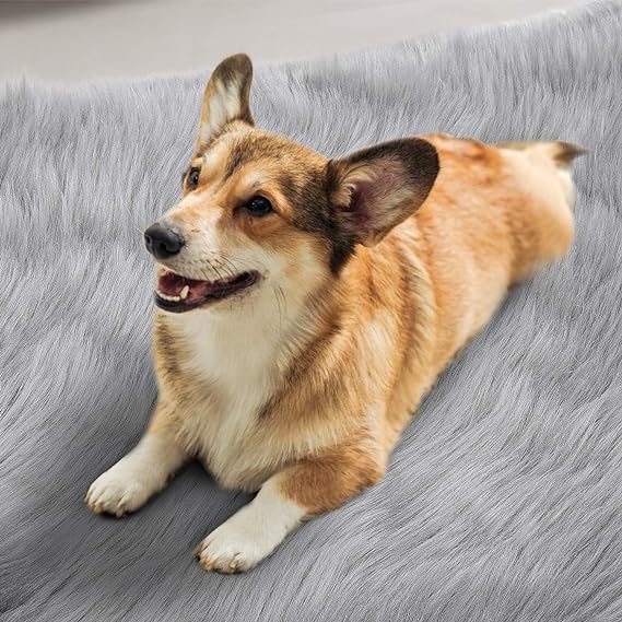 Andecor Soft Fluffy Faux For Bedroom